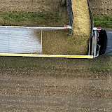 Lkw wird mit Ernte beladen