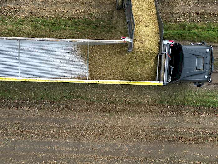 Lkw wird mit Ernte beladen