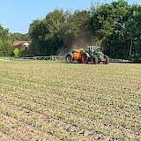 Amazone Spritze im Mais