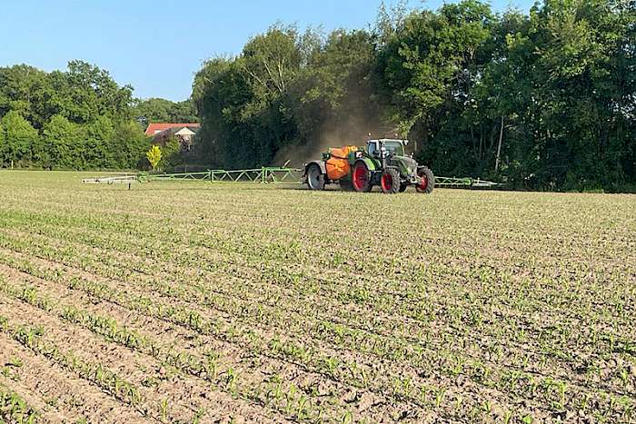 Amazone Spritze im Mais