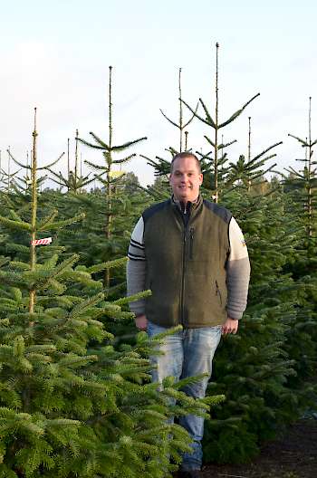 Kai Hellwinkel produziert zusammen mit seinem Vater Weihnachtsbäume