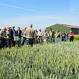 Mit der Investition in eine neue Maschinenhalle und moderne Büros (Hintergrund) stärkt die Landwirtschaftskammer Niedersachsen den Versuchsstandort Poppenburg und ihr Versuchswesen. Nach der offiziellen Einweihung durch Kammerpräsident Gerhard Schwetje wurden die 200 Besucher über das 20 Hektar große Versuchsfeld geführt. Foto: Walter Hollweg_LWK Niedersachsen