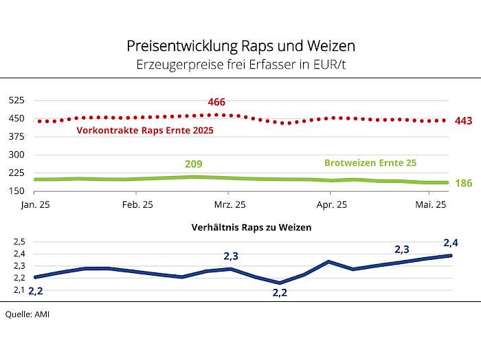 Preisentwicklung Raps