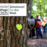 Baum mit Herz